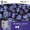 INFY-Blueburry-บลูเบอรรี่